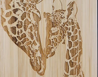 Thumbnail for GIRAFFEN iPhone Air Backcase