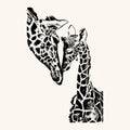 Giraffen