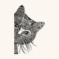 Kitty