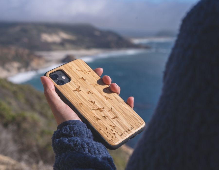 BERN iPhone Air Backcase