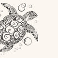 Turtle