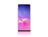 Thumbnail for Coque arrière Samsung Galaxy S10+ FLEUR D'ÉTÉ