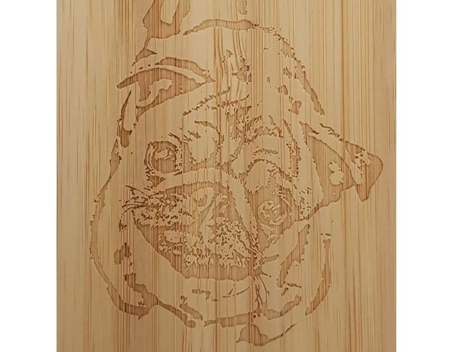 BULLDOGGE Samsung Galaxy S21 Backcase