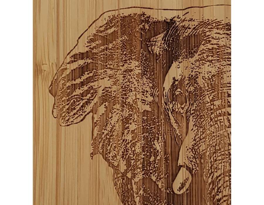 Coque bois-plastique iPhone 13 ELEPHANT