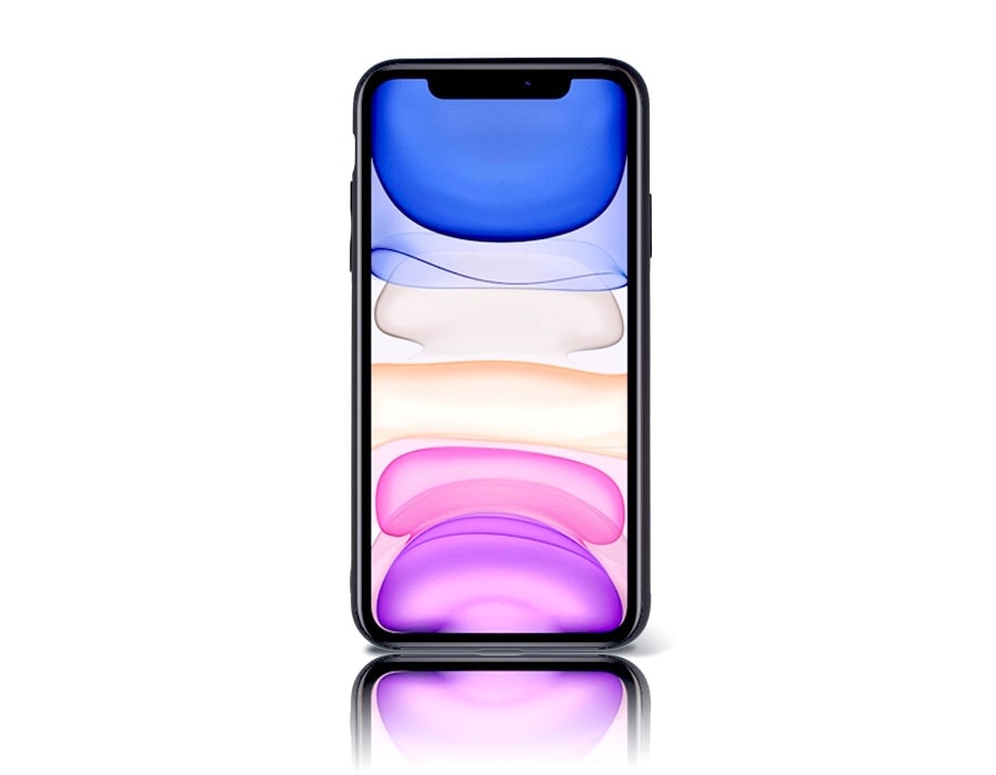 Coque arrière iPhone 11 BERNE